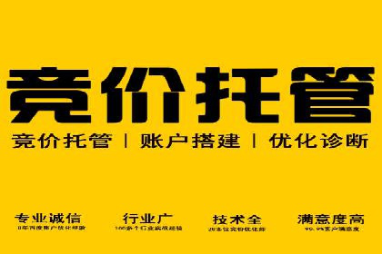 百度竞价排名推广：快速提升网站流量的技巧